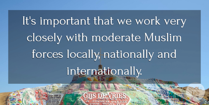 Gijs de Vries Quote About Important, Force, Moderates: Its Important That We Work...
