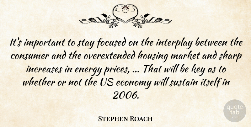 Stephen Roach Quote About Consumer, Economy, Energy, Focused, Housing: Its Important To Stay Focused...