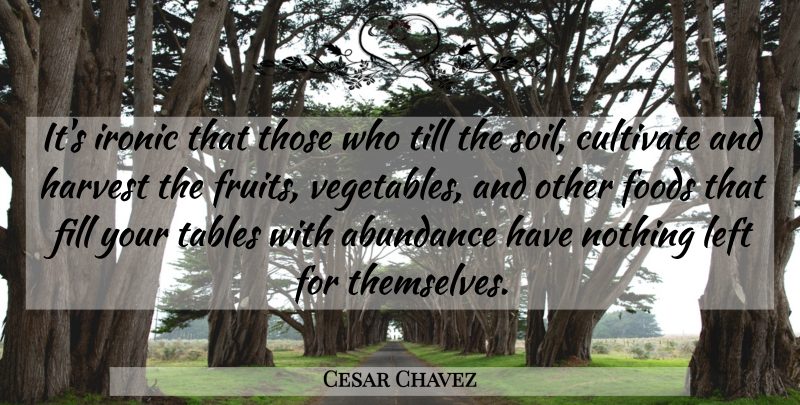 Cesar Chavez Quote About Vegetables, Justice, Ironic: Its Ironic That Those Who...