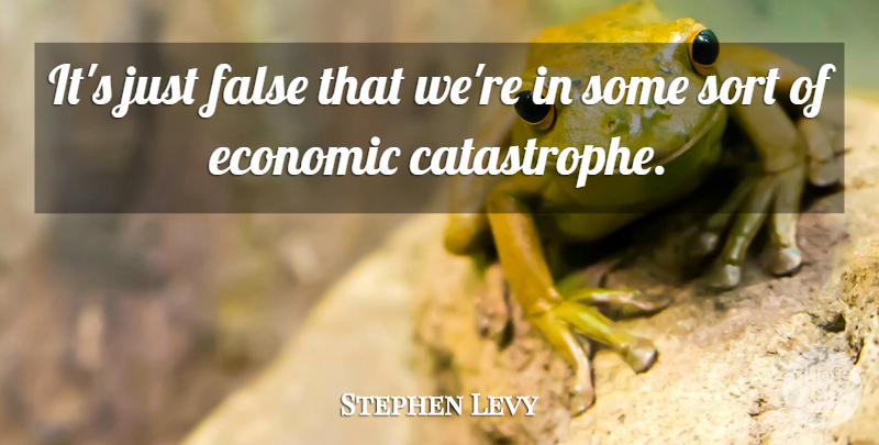 Stephen Levy Quote About Economic, False, Sort: Its Just False That Were...