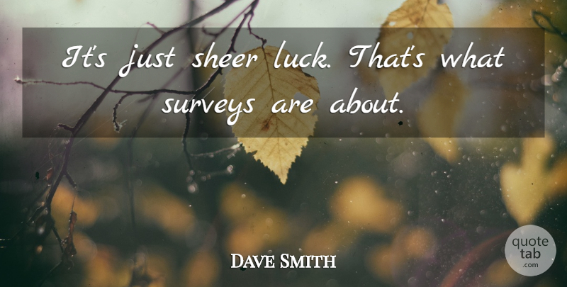 Dave Smith Quote About Luck, Sheer: Its Just Sheer Luck Thats...