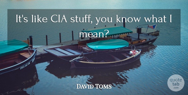 David Toms Quote About Cia: Its Like Cia Stuff You...