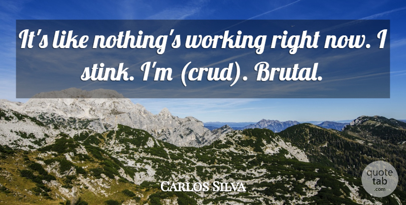 Carlos Silva Quote About undefined: Its Like Nothings Working Right...