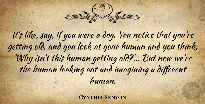 Cynthia Kenyon Quote About Human, Imagining: Its Like Say If You...