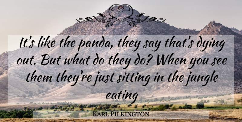 Karl Pilkington Quote About Dying, Sitting, Pandas: Its Like The Panda They...