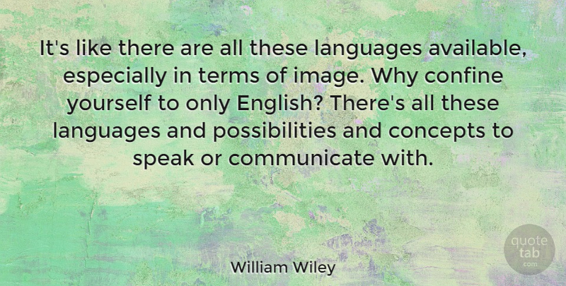 William Wiley Quote About American Soldier, Concepts, Confine, Languages, Possibilities: Its Like There Are All...