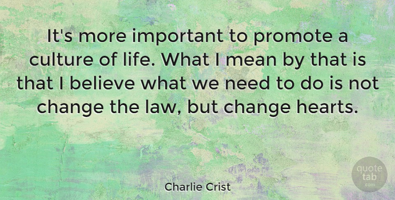 Charlie Crist Quote About Believe, Mean, Heart: Its More Important To Promote...