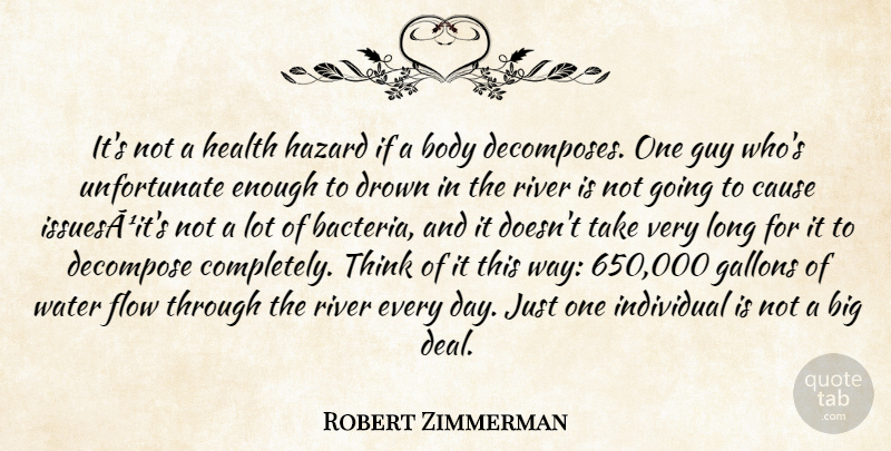 Robert Zimmerman Quote About Body, Cause, Drown, Flow, Guy: Its Not A Health Hazard...