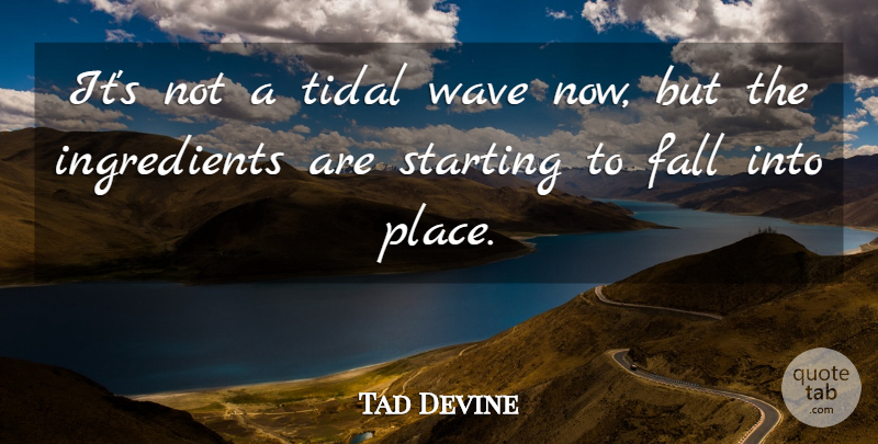 Tad Devine Quote About Fall, Starting, Wave: Its Not A Tidal Wave...