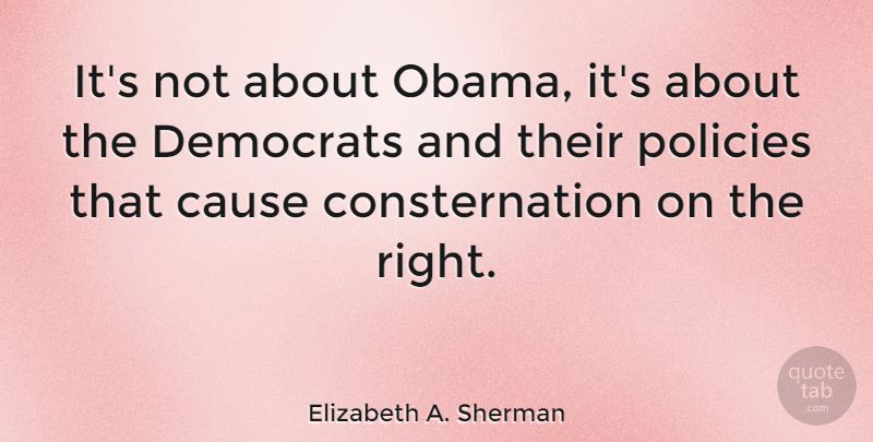 Elizabeth A. Sherman Quote About Policies: Its Not About Obama Its...