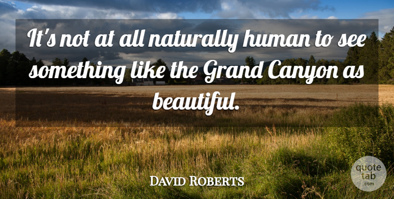 David Roberts Quote About Human, Naturally: Its Not At All Naturally...