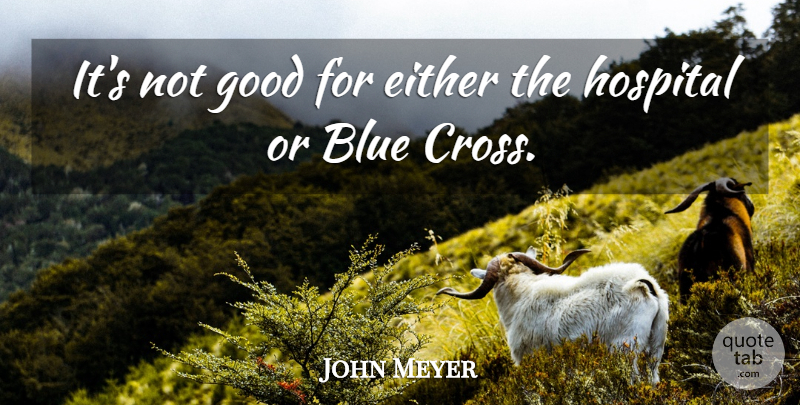 John Meyer Quote About Blue, Either, Good, Hospital: Its Not Good For Either...