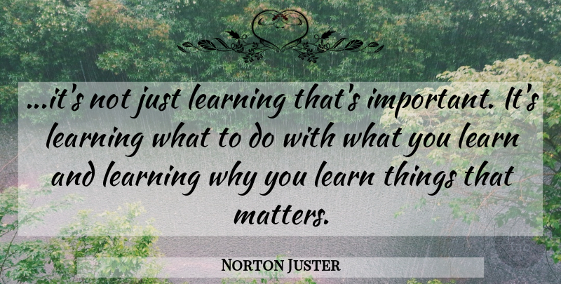 Norton Juster Quote About Education, School, Important: Its Not Just Learning Thats...