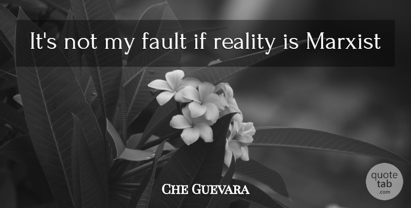 Che Guevara Quote About Reality, Faults, Marxist: Its Not My Fault If...