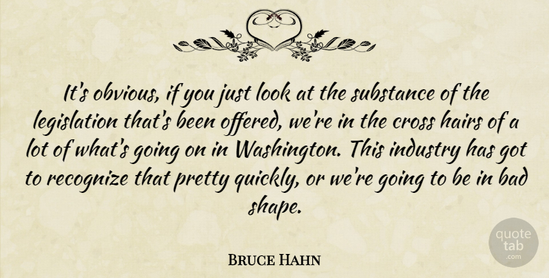Bruce Hahn Quote About Bad, Cross, Hairs, Industry, Recognize: Its Obvious If You Just...
