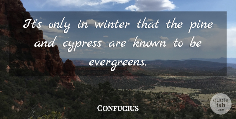 Confucius Quote About Winter, Cypresses, Evergreens: Its Only In Winter That...