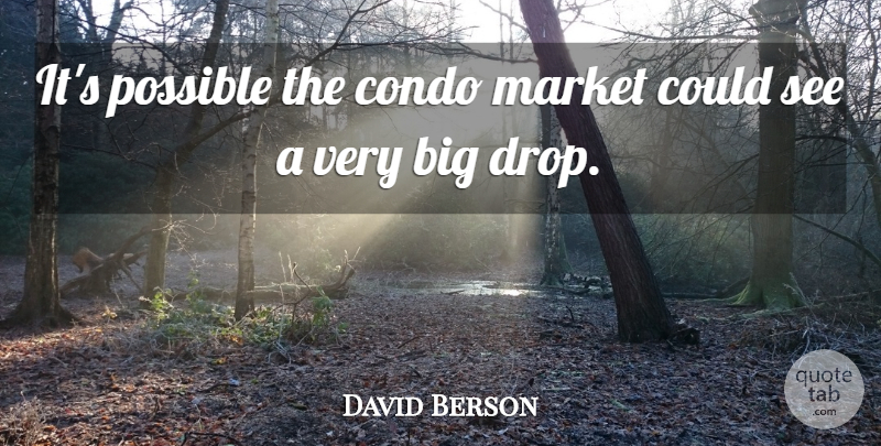 David Berson Quote About Condo, Market, Possible: Its Possible The Condo Market...