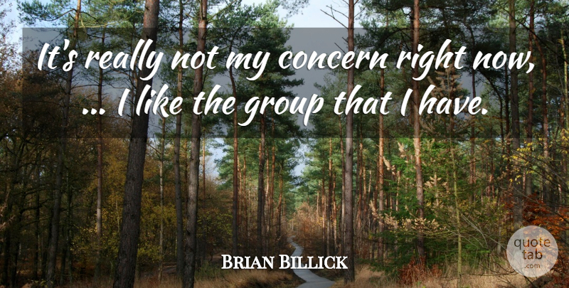 Brian Billick Quote About Concern, Group: Its Really Not My Concern...