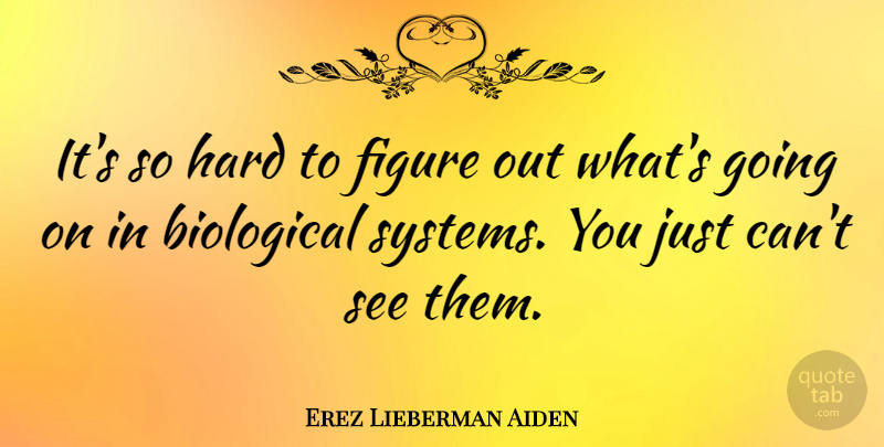 Erez Lieberman Aiden Quote About Figures, Hard: Its So Hard To Figure...