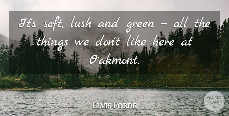 Elvis Forde Quote About Green, Lush: Its Soft Lush And Green...
