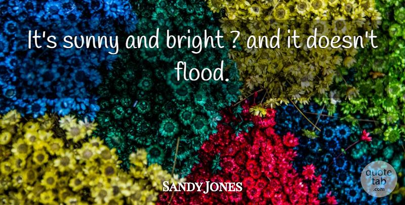 Sandy Jones Quote About Bright, Sunny: Its Sunny And Bright And...