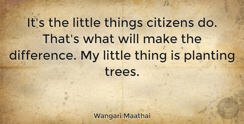 Wangari Maathai Quote About Differences, Tree, Littles: Its The Little Things Citizens...