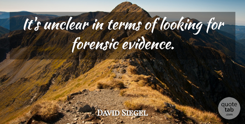 David Siegel Quote About Forensic, Looking, Terms, Unclear: Its Unclear In Terms Of...