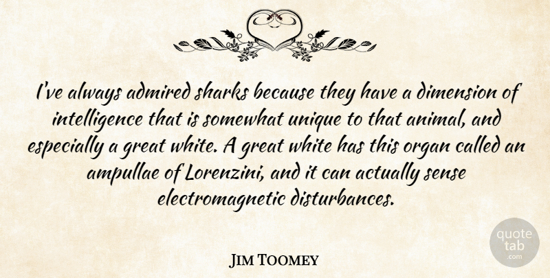 Jim Toomey Quote About Admired, Dimension, Great, Intelligence, Organ: Ive Always Admired Sharks Because...