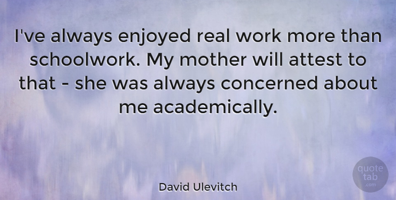 David Ulevitch Quote About Attest, Enjoyed, Work: Ive Always Enjoyed Real Work...