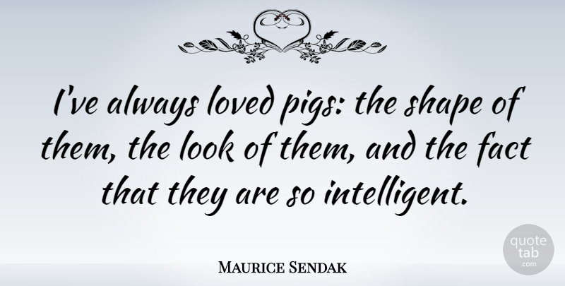 Maurice Sendak Quote About Intelligent, Pigs, Shapes: Ive Always Loved Pigs The...