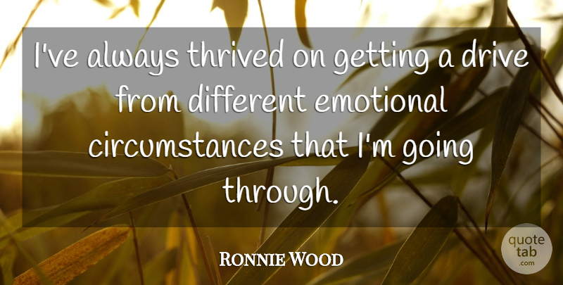 Ronnie Wood Quote About undefined: Ive Always Thrived On Getting...