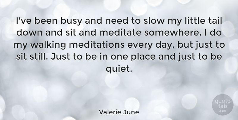 Valerie June Quote About Meditate, Sit, Slow, Tail: Ive Been Busy And Need...