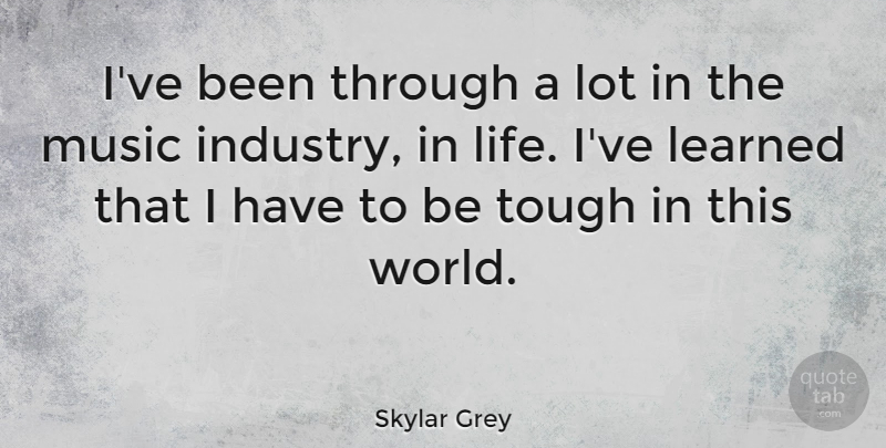 Skylar Grey Quote About Learned, Life, Music: Ive Been Through A Lot...