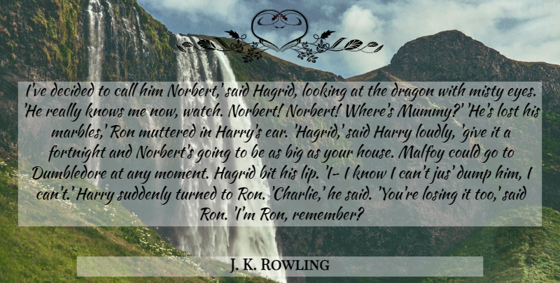 J. K. Rowling Quote About Eye, Dragons, Giving: Ive Decided To Call Him...