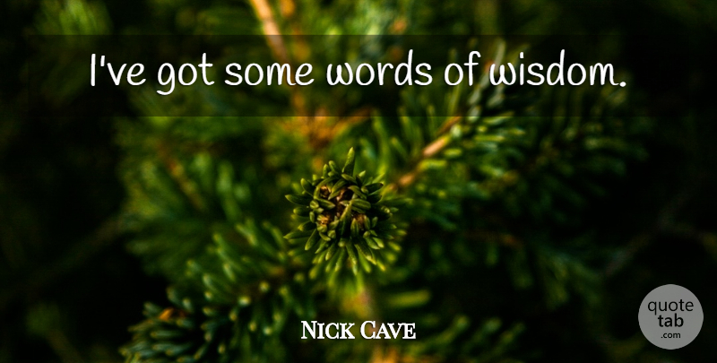 Nick Cave Quote About Words Of Wisdom: Ive Got Some Words Of...