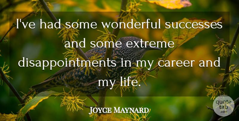 Joyce Maynard Quote About Career, Extreme, Life, Successes, Wonderful: Ive Had Some Wonderful Successes...