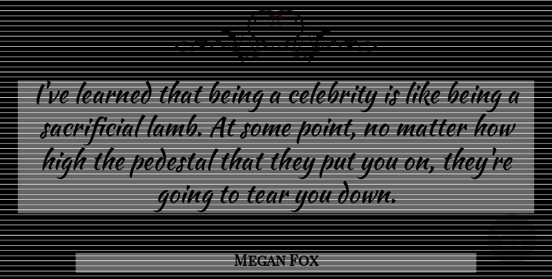 Megan Fox Quote About Tears, Lambs, Matter: Ive Learned That Being A...