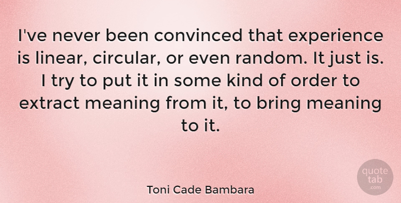 Toni Cade Bambara Quote About Order, Trying, Kind: Ive Never Been Convinced That...