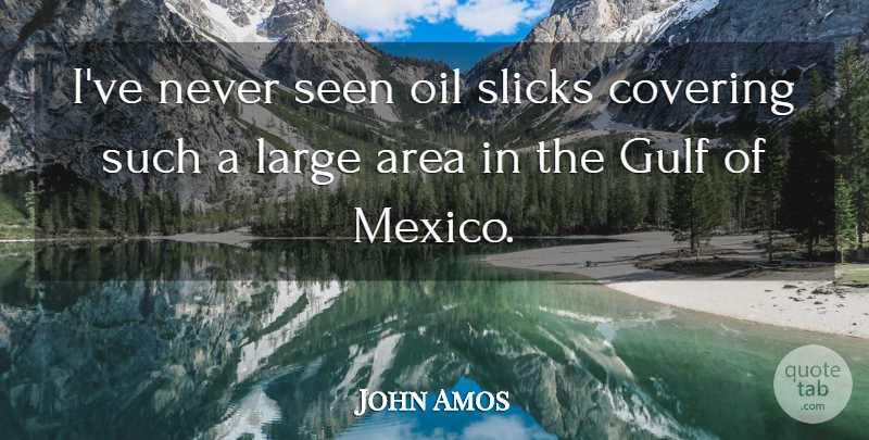 John Amos Quote About Area, Covering, Gulf, Large: Ive Never Seen Oil Slicks...