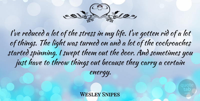 Wesley Snipes Quote About Stress, Light, Doors: Ive Reduced A Lot Of...