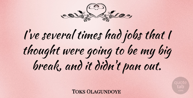 Toks Olagundoye Quote About Several: Ive Several Times Had Jobs...