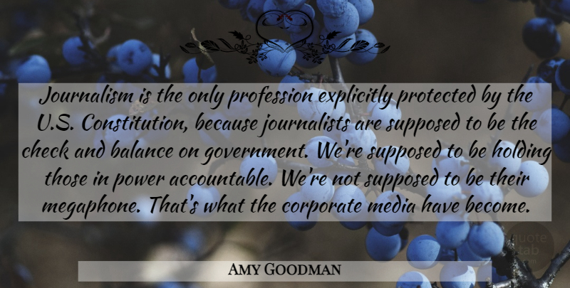 Amy Goodman Quote About Government, Media, Accountability: Journalism Is The Only Profession...