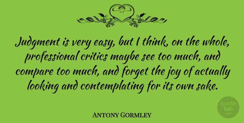 Antony Gormley Quote About Compare, Critics, Judgment, Looking, Maybe: Judgment Is Very Easy But...