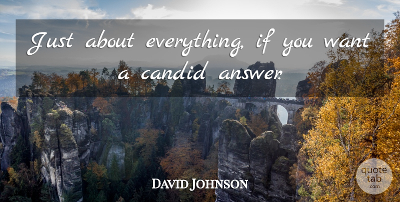 David Johnson Quote About Candid: Just About Everything If You...
