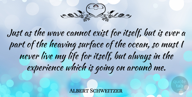 Albert Schweitzer Quote About Inspirational, Life, Beach: Just As The Wave Cannot...