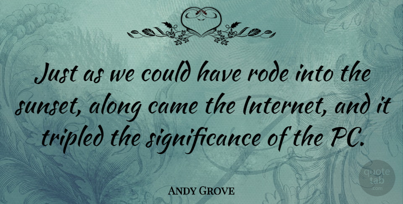Andy Grove Quote About Sunset, Technology, Internet Users: Just As We Could Have...