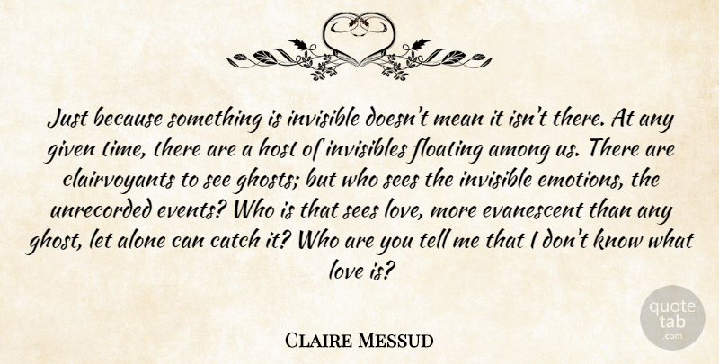 Claire Messud Quote About Mean, Love Is, Events: Just Because Something Is Invisible...