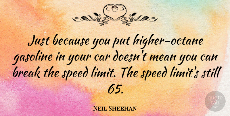 Neil Sheehan Quote About Mean, Car, Gasoline: Just Because You Put Higher...