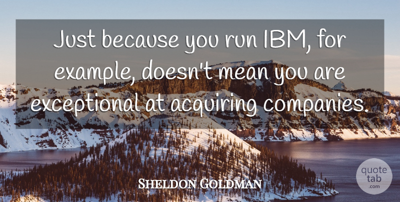 Sheldon Goldman Quote About Acquiring, Example, Mean, Run: Just Because You Run Ibm...