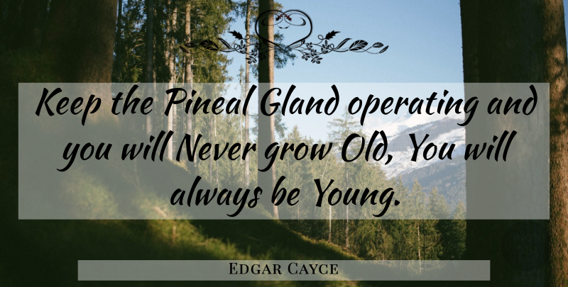 Edgar Cayce Quote About Pineal Gland, Young, Glands: Keep The Pineal Gland Operating...